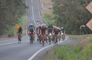 Buderim 9 in 2018