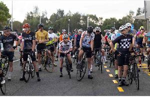 Buderim 9 in 2023