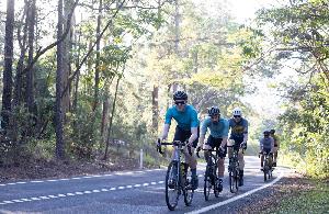 Buderim 9 in 2023