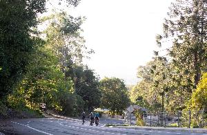 Buderim 9 in 2023