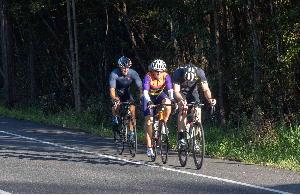 Buderim 9 in 2023