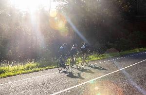 Buderim 9 in 2023