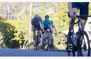 Buderim 9 in 2023