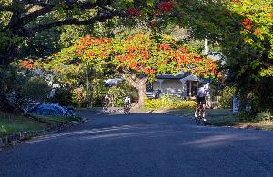 Buderim 9 in 2023