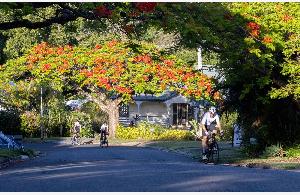 Buderim 9 in 2023