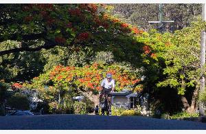 Buderim 9 in 2023