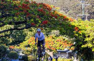 Buderim 9 in 2023