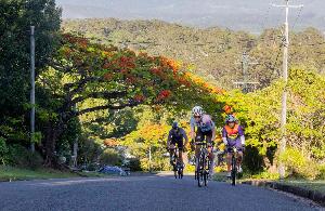 Buderim 9 in 2023