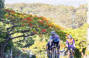 Buderim 9 in 2023