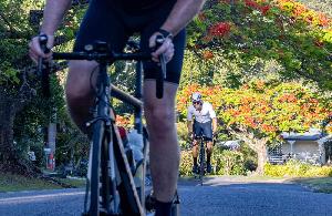 Buderim 9 in 2023