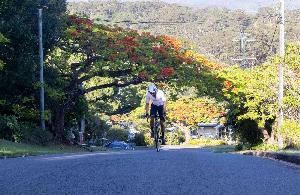 Buderim 9 in 2023